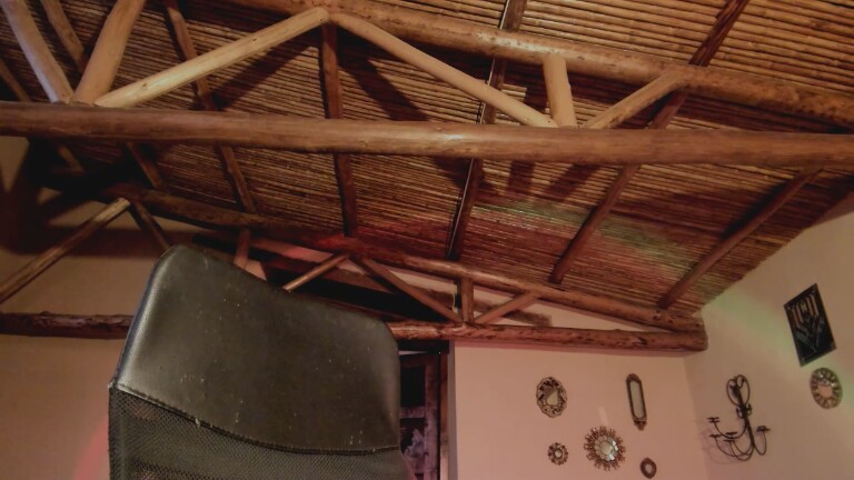 MissCobrah's Streamate show and profile